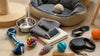 Best Pet Supplies for Modern Homes: 2026 Guide