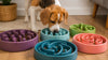 Best Slow Feeder Bowls for Dogs That Gulp Food