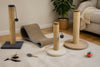 Durable Cat Scratching Posts for Home: 2026 Picks