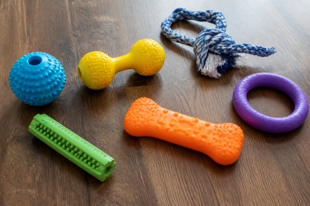 Durable Chew Toys for Aggressive Chewers That Survive