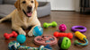 Durable Interactive Toys for Dogs: 10 Best Picks