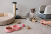 Essential Items for New Cat Owners: 2026 Guide