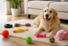 Love Thy Beast Alternative for Pet Accessories