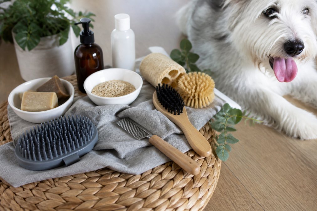 Natural Grooming Supplies for Dogs 2026: Top Picks