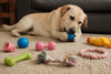 PetLife Alternative for Durable Dog Toys: 2026 Guide