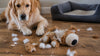 Why Do Pet Toys Fall Apart? Durability Guide