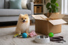 Why Online Pet Stores Are Better for Quality and Convenience