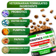 🐶🦠 Probiotics for Dogs – Happy Tummies, Happy Skin!