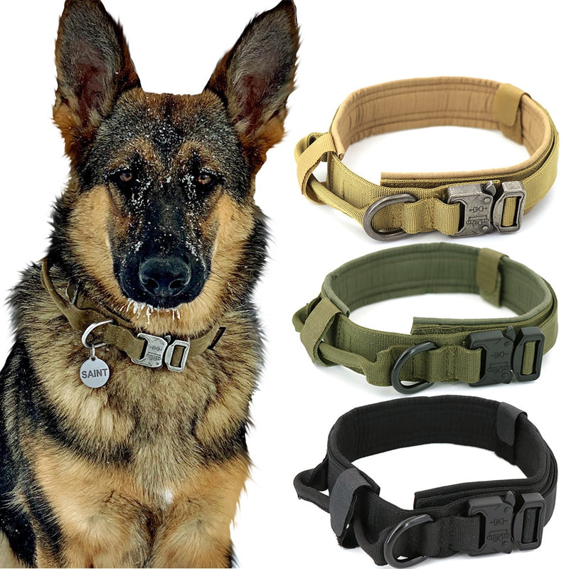 Tactical Dog Collar – Heavy-Duty