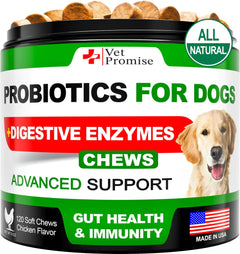 🐶🦠 Probiotics for Dogs – Happy Tummies, Happy Skin!