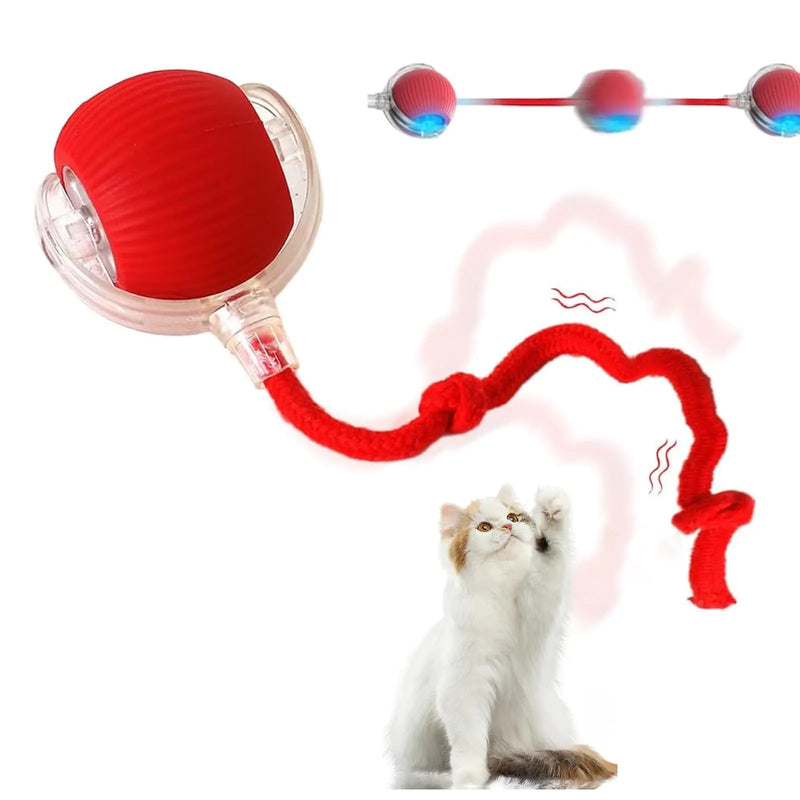 Interactive Cat Balls