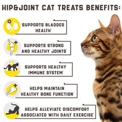 🌿💥 Power-Packed Joint Care Natural Glucosamine for Cats