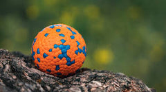 Chew-Resistant Burst Ball Dog Toy