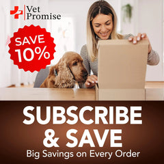 💩🐶 Great Poop™ – Probiotics  Fiber Chews for Happier Tummies!