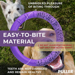 🐶💪 The Ultimate Multifunctional Dog Toy! (2) Puller Outdoor Dog  Rings